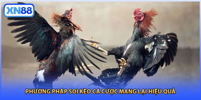 Phương pháp soi kèo cá cược mang lại hiệu quả